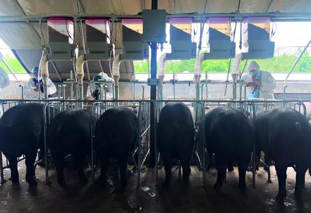 一篇万字长文,万字长文干货