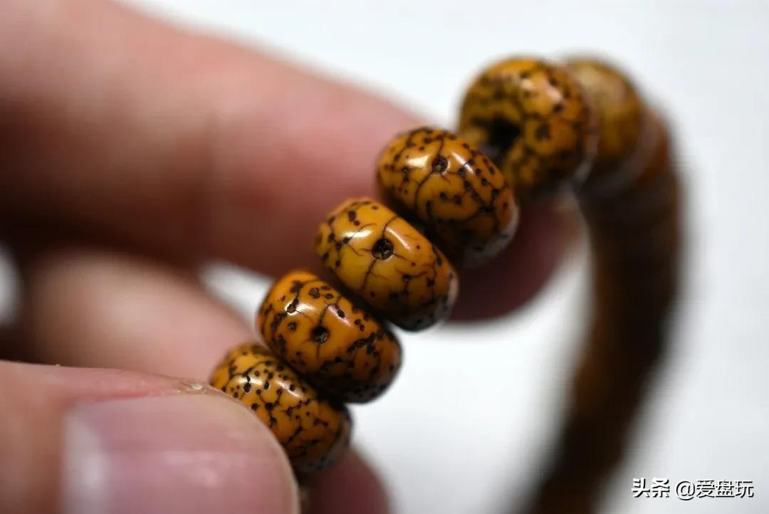 星月盘多久可开片,星月盘了几年都不开片