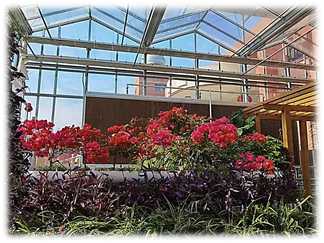 天津市高级中等学校,天津市天津中学高考录取率