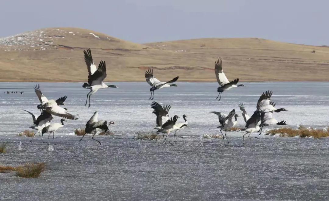 大山包风景区最新视频,太平国家森林公园有什么玩的