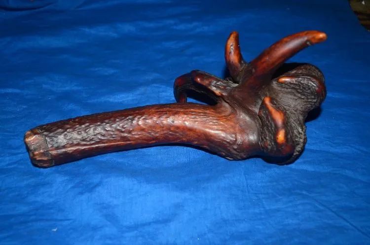 丁真和四川什么关系,丁真背后是谁