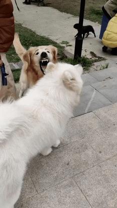 第一天在水果店上班的感受是什么,在水果店上班的日常