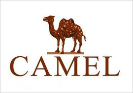 时尚鞋业品牌大全,日韩的知名鞋业品牌