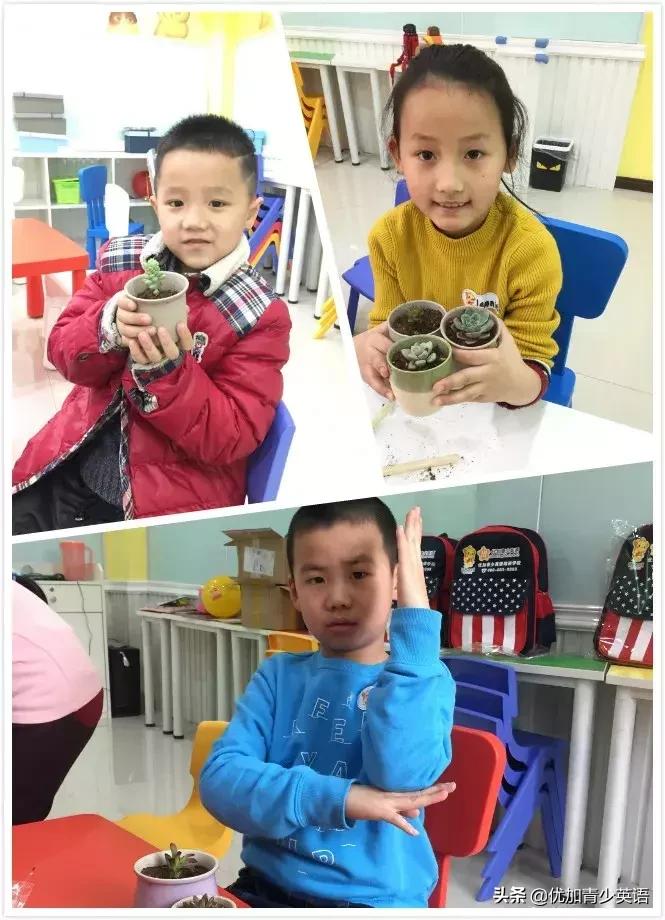 植树节播撒梦想厚植希望,植树节拥抱春天播种绿色放飞希望