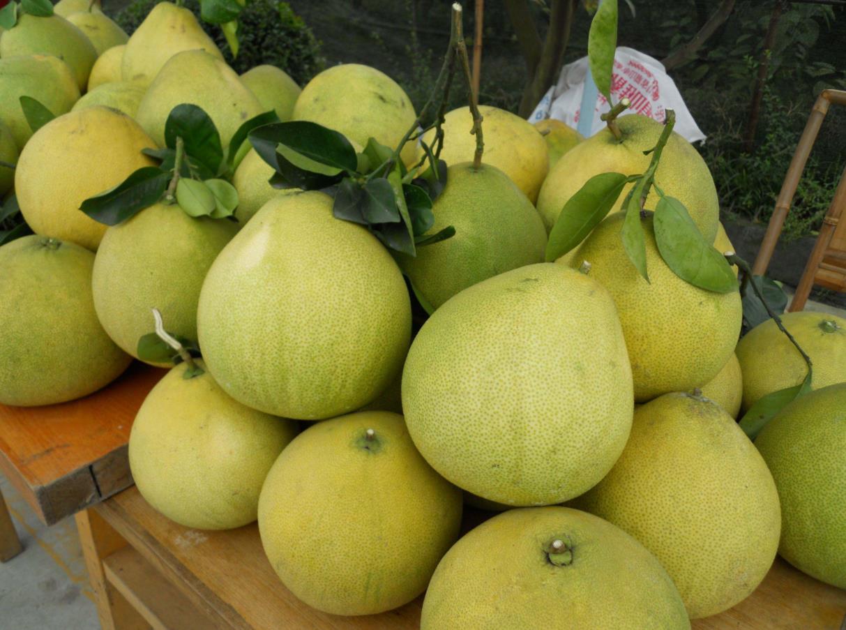 柚子怎样挑选最好吃,怎样挑选柚子是最好的