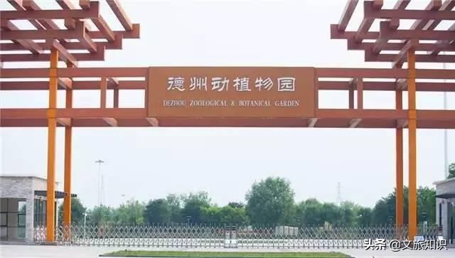 山东德州动植物园旅游区,德州市动植物园视频