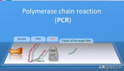 试剂盒检测新冠方法,自测新冠试剂盒怎么使用