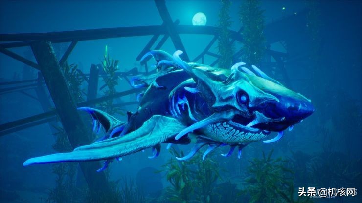 食人鲨从哪里买的,食人鲨值得买吗