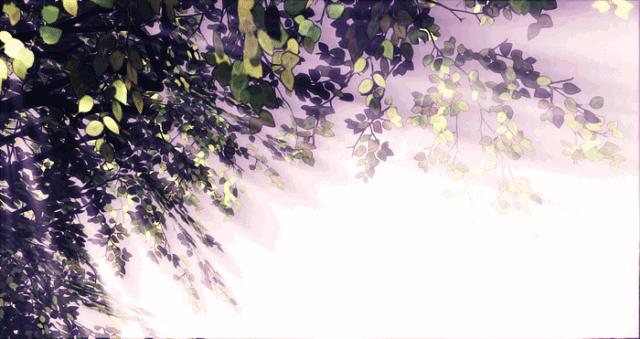 高三语文近义实词辨析复习,中考语文文言文实词归纳