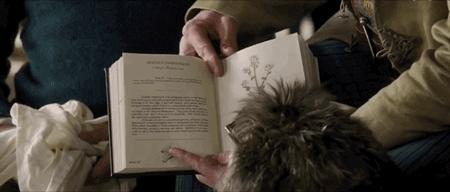 影院复业后你最想看哪部电影,带儿童去影院观看的电影推荐