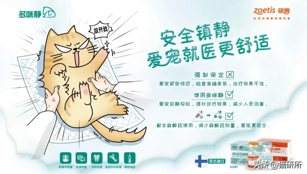 猫咪呼吸麻醉前需要诱导麻醉吗,猫镇静用什么