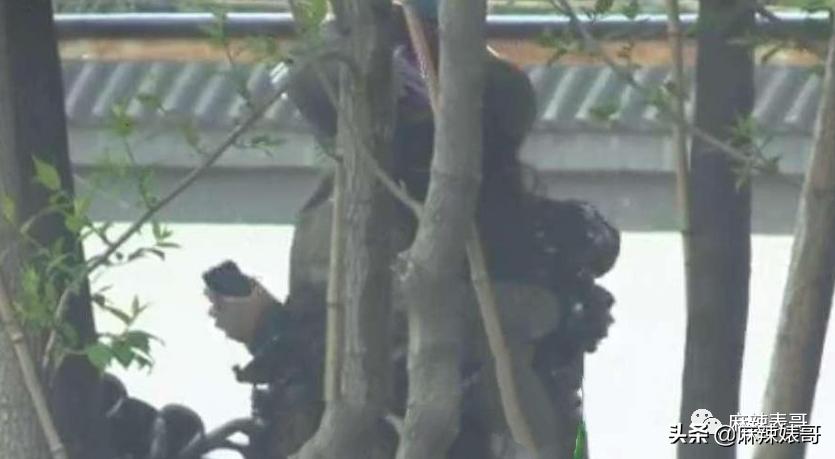 陈数和老公接吻照片,陈数老公回应搂抱年轻女子