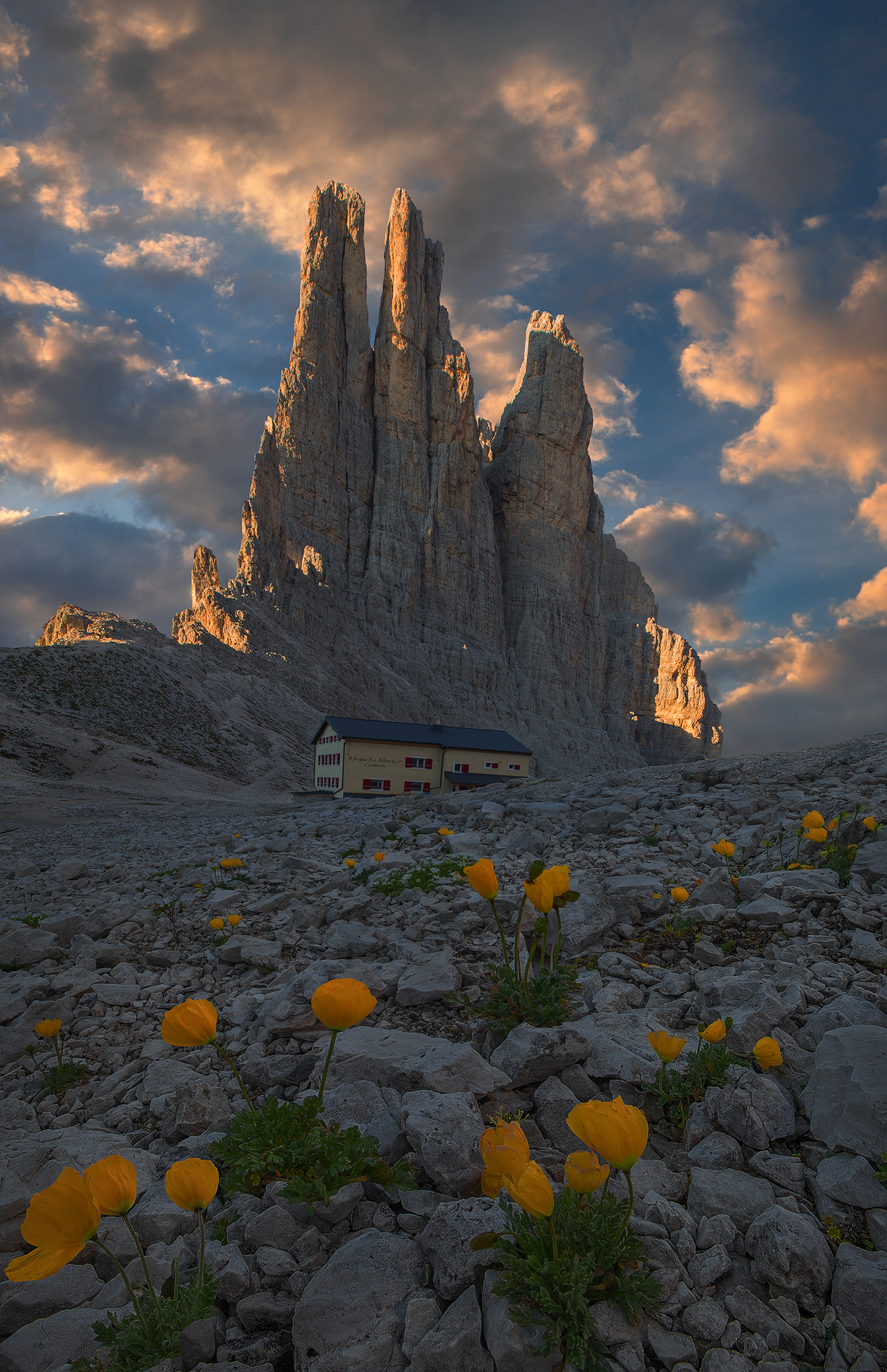 摄影后期的布局,摄影后期裁剪的方法