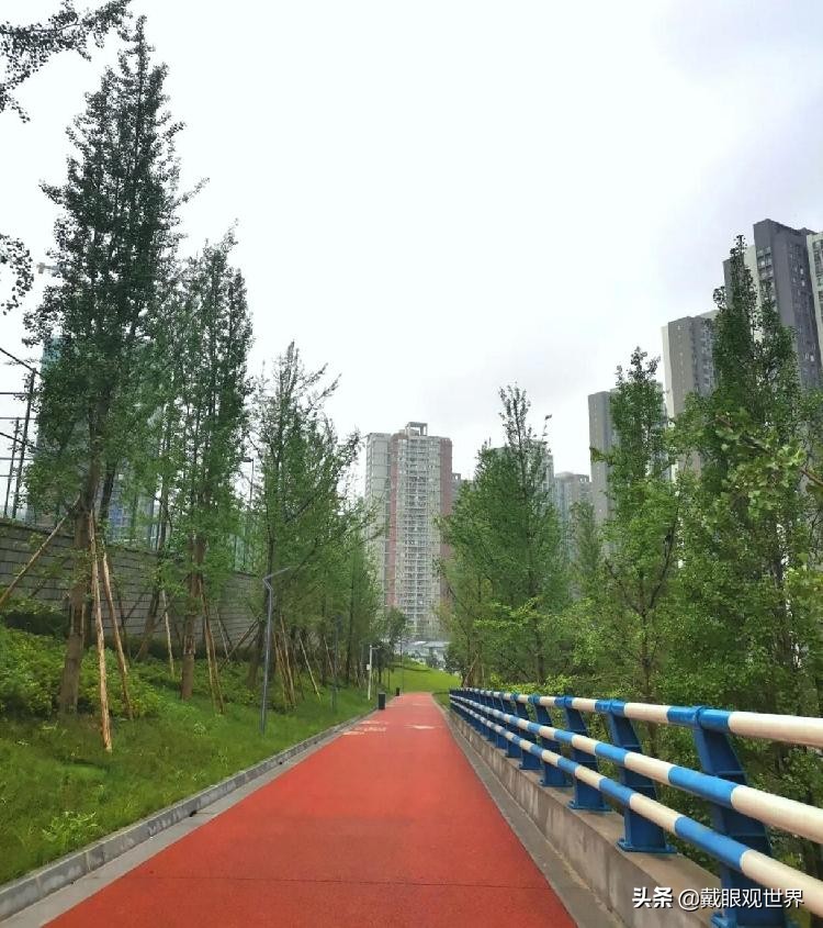 溉澜溪体育公园现在还有花吗,重庆溉澜溪体育公园足球场