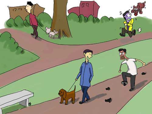 狗狗在笼子正常出来就随地大小便,如何解决狗狗随地大小便问题