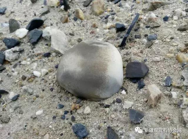 戈壁滩捡玉怎么分辨玉和石头,金丝玉三剑客戈壁滩捡金丝玉