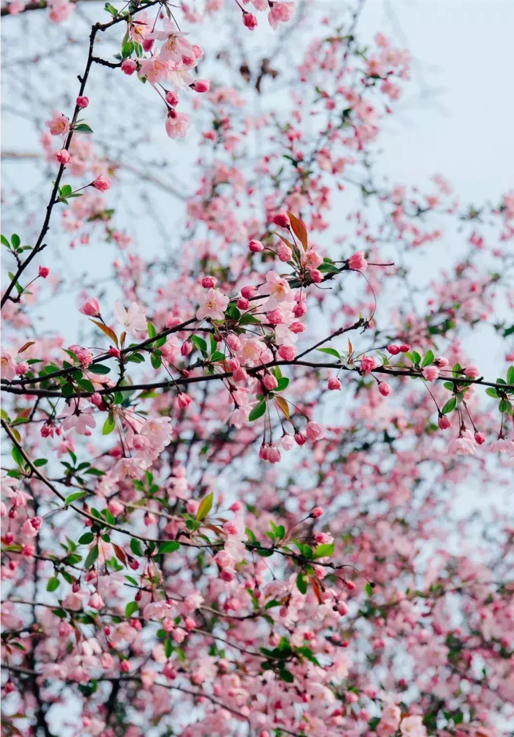 郑州向全球招才引智,郑州欢迎你2018