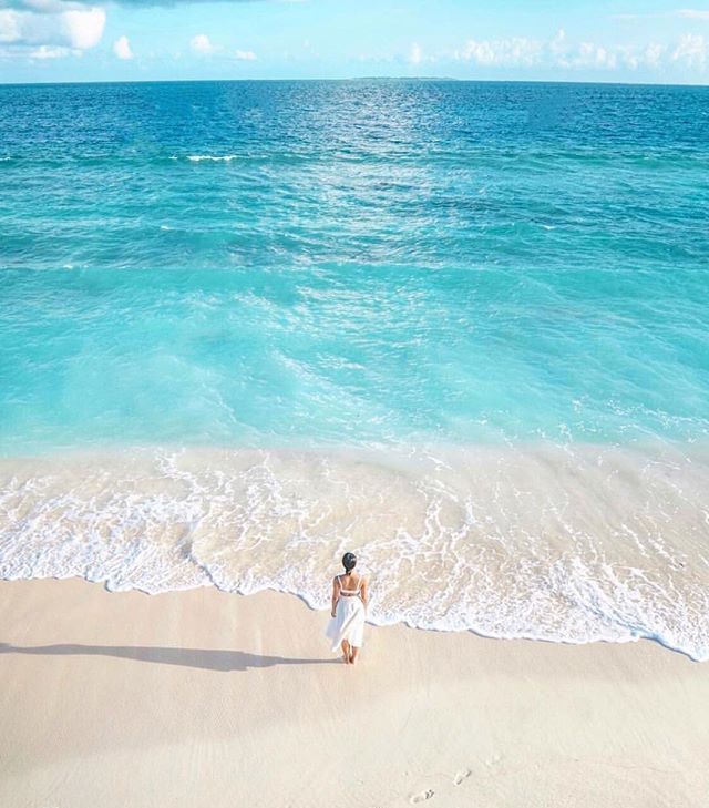 王思聪包场夏威夷,王思聪包岛花了多少钱