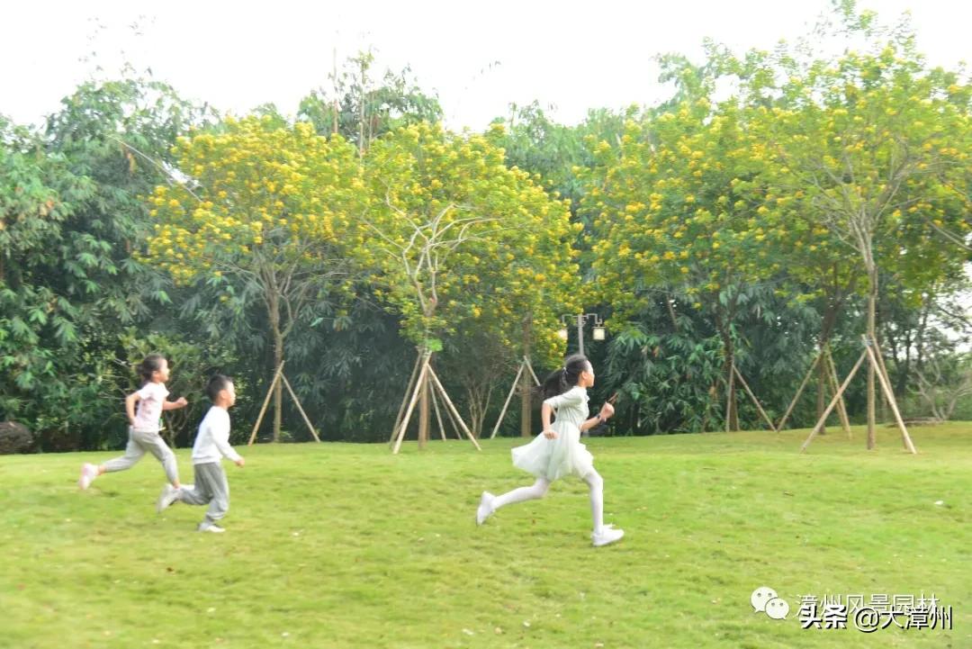 市区这8大公园“魔幻”变身！增添了游乐区、沙坑、足球场、彩绘墙....