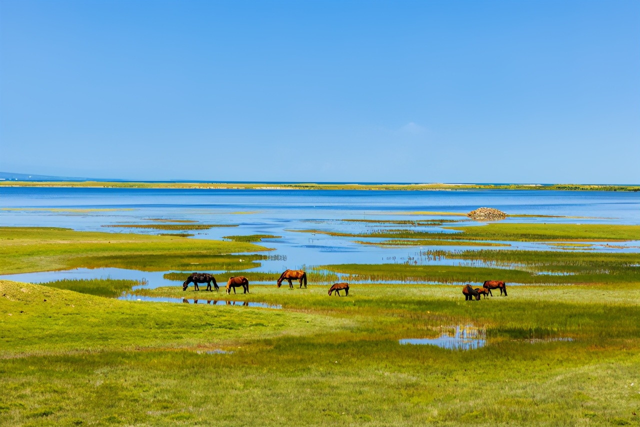 从青海到巴丹吉林沙漠,用实战解读EOSR5