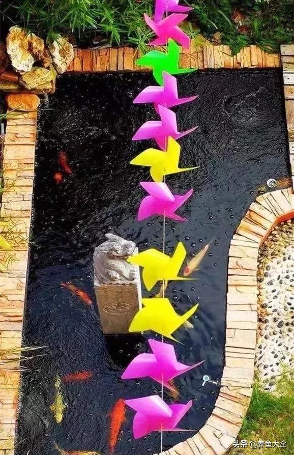 经历2次整池团灭，没关系！接着买从头再来！