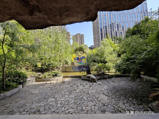 滨湖省府板块高速,实探滨湖区省府中轴禹洲绿城兰园