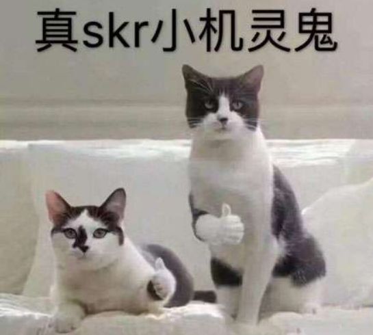 经典4399小游戏都有什么,曾经4399的游戏