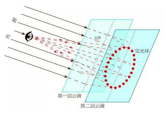 只要掌握这个窍门，佛光，你可以一天看N次