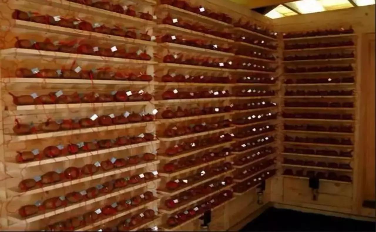 外挂,永无止息的敌人