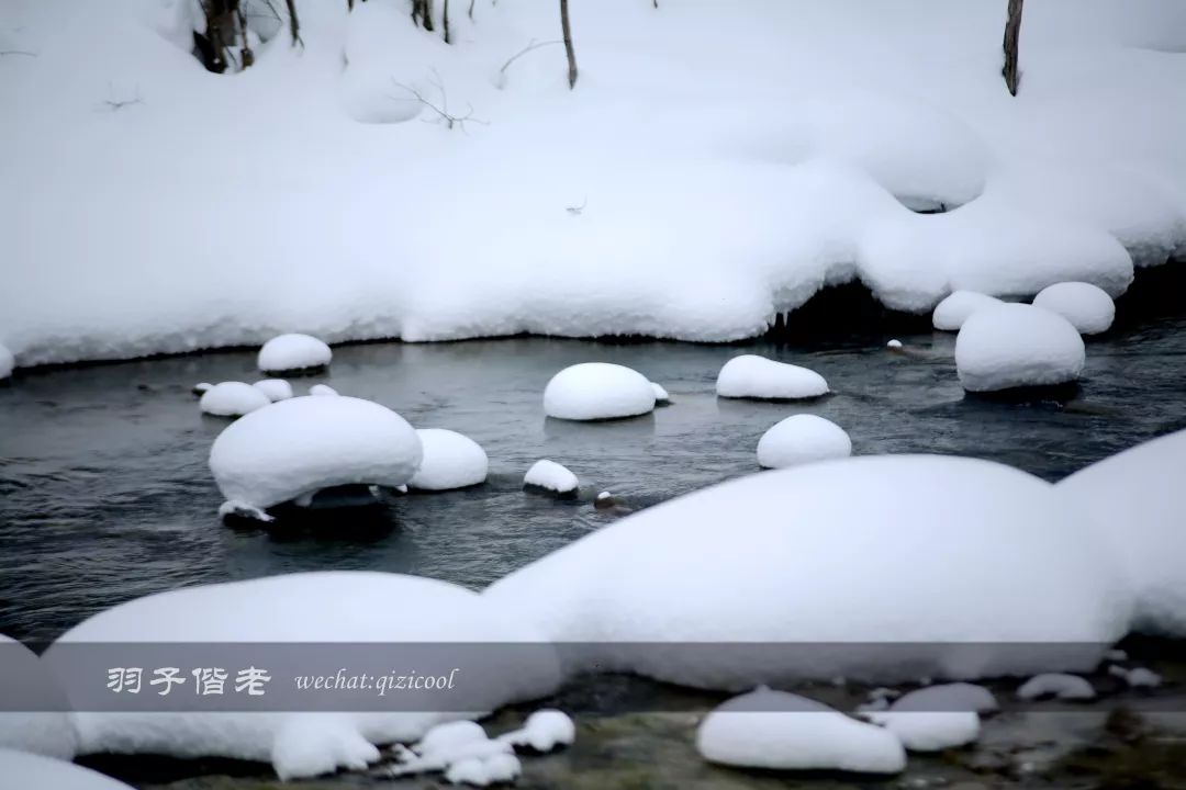 老实说，这一趟北海道就是为了拍好看的照片去的