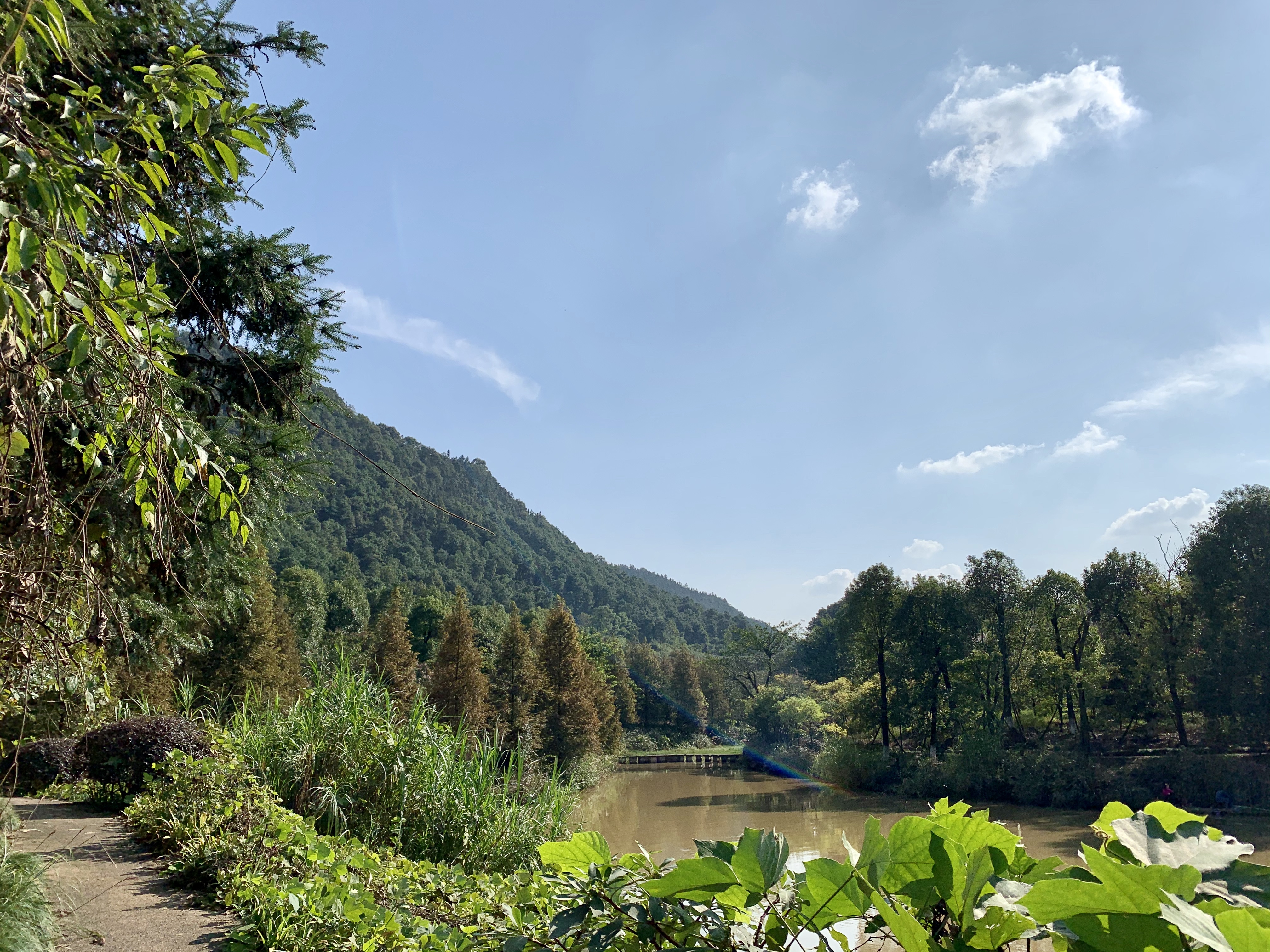 九仙温泉别墅酒店,重庆武隆商务楼酒店