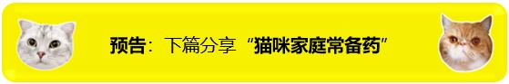 狗狗不爱吃饭的原因及治疗方法,狗狗不爱吃饭还吐是什么原因