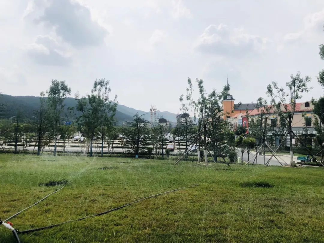 月薪3/4k,不是保险就是销售,济南求职到底怎样?