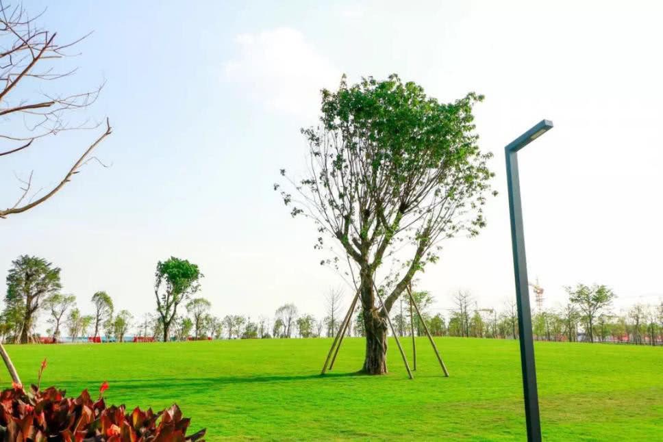 江门这个城市在大家的印象中,江门真是一个好神奇的城市