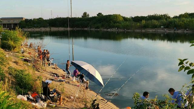 调五钓二和调四钓二哪个灵,调四钓二调漂技巧视频教程