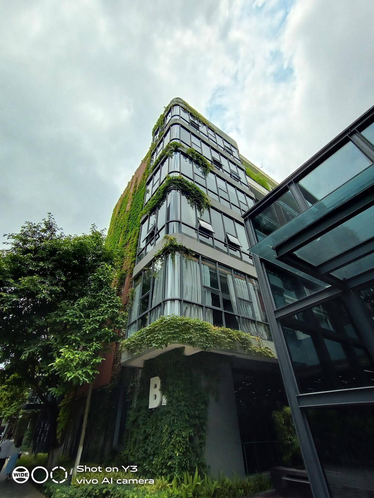 vivoy3标准版最好用的功能,vivoy3初桃粉好看吗