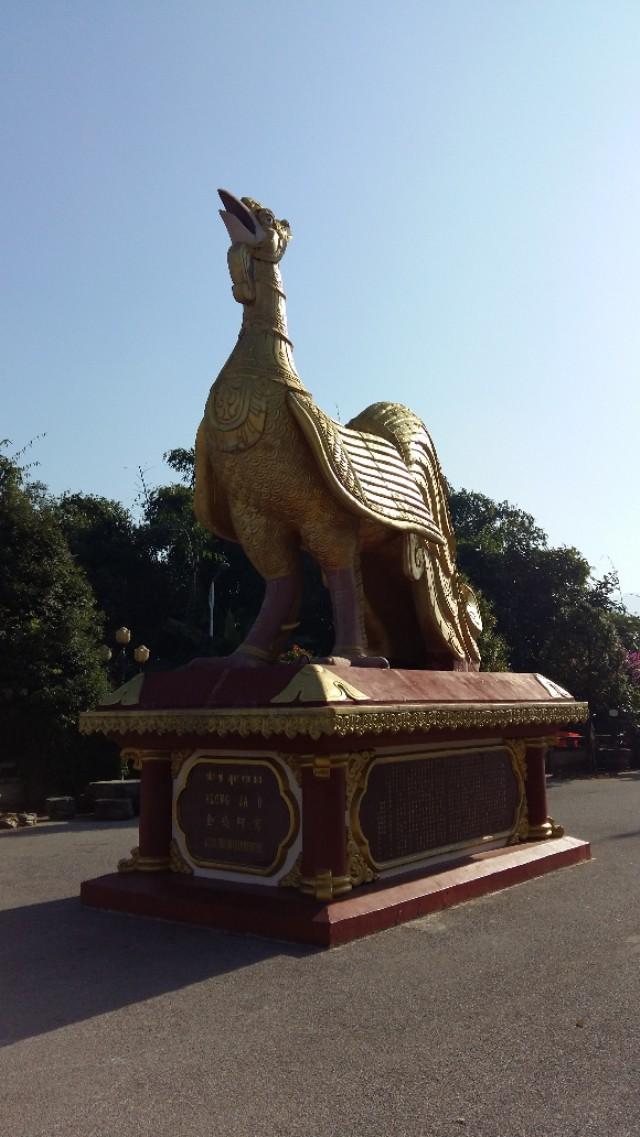 他发明了树木打点滴，到云南不要错过他的珍奇园