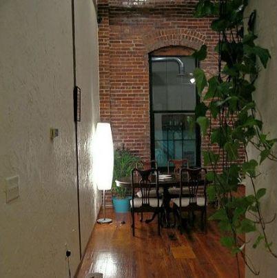 四种植物,家里养什么盆栽好去甲醛净化空气