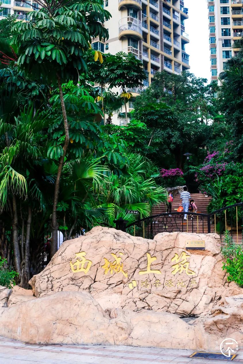 2000万在深圳能买到别墅吗,2000能在深圳租到怎样的房子