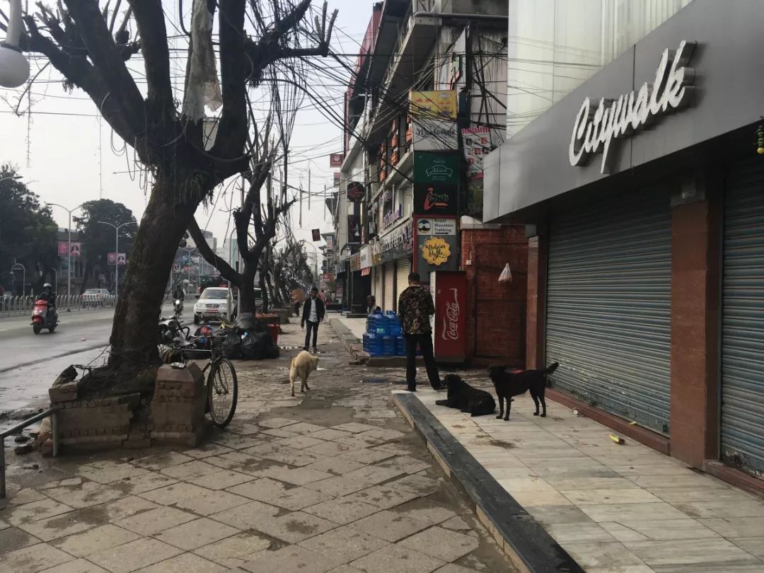 尼泊尔游记2,环游世界之挪威第1集