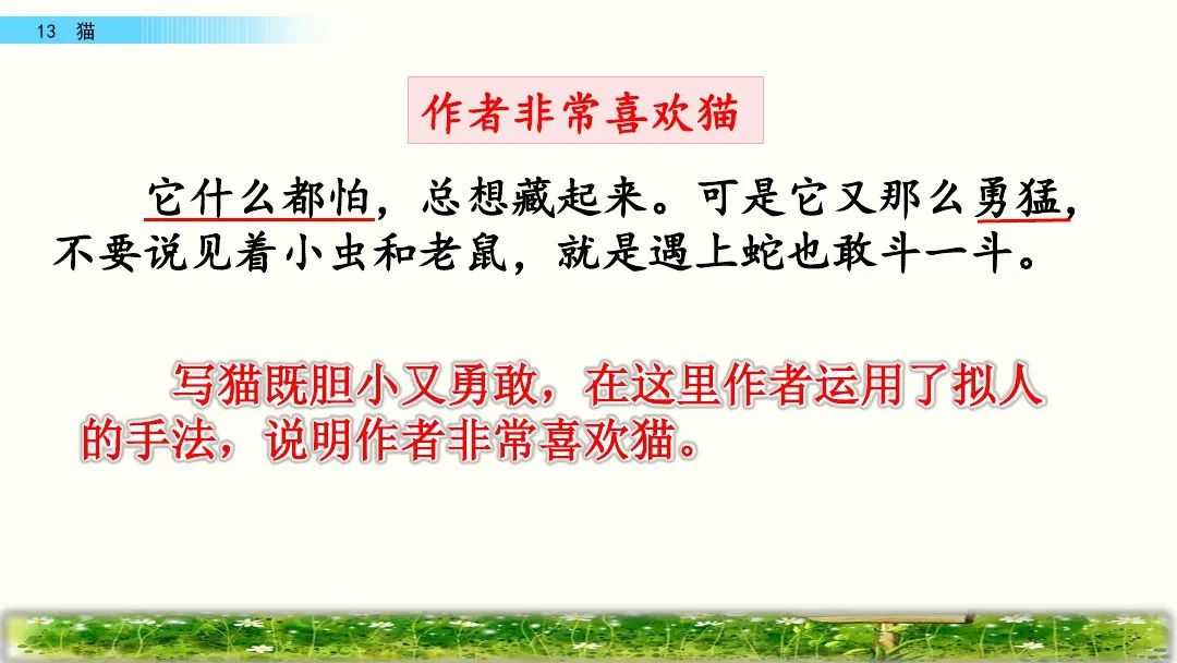 四年级下册语文13课猫课文解析,部编版四年级下册13猫教学视频