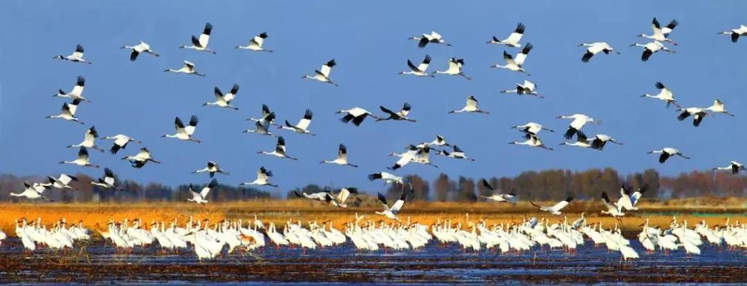 一派和谐的自然风光,一派祥和的自然风光