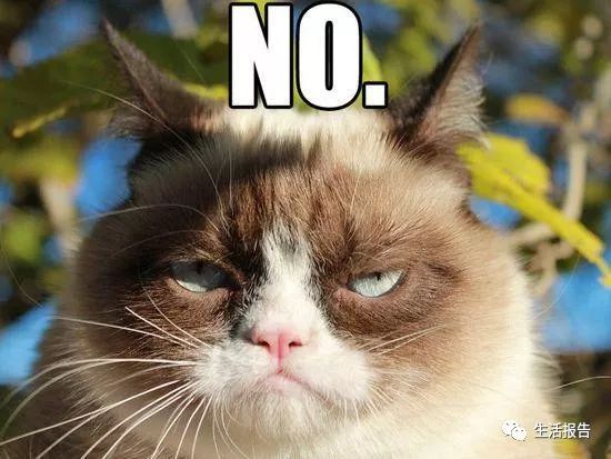 仅8.2%的猫粮符合标准！你是个合格的铲屎官么？