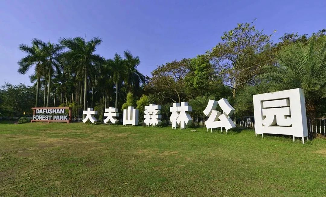 让孩子爱上运动终身受益,孩子有一项热爱的运动真好