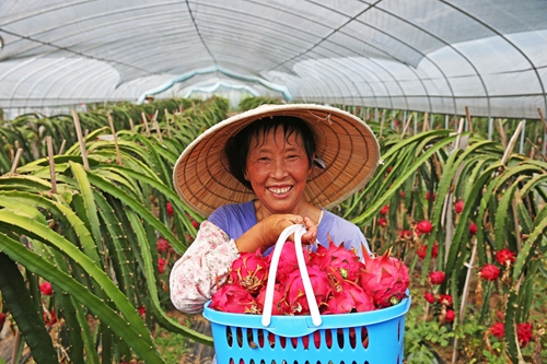 阆中市千年耀天下,千年古城四川阆中