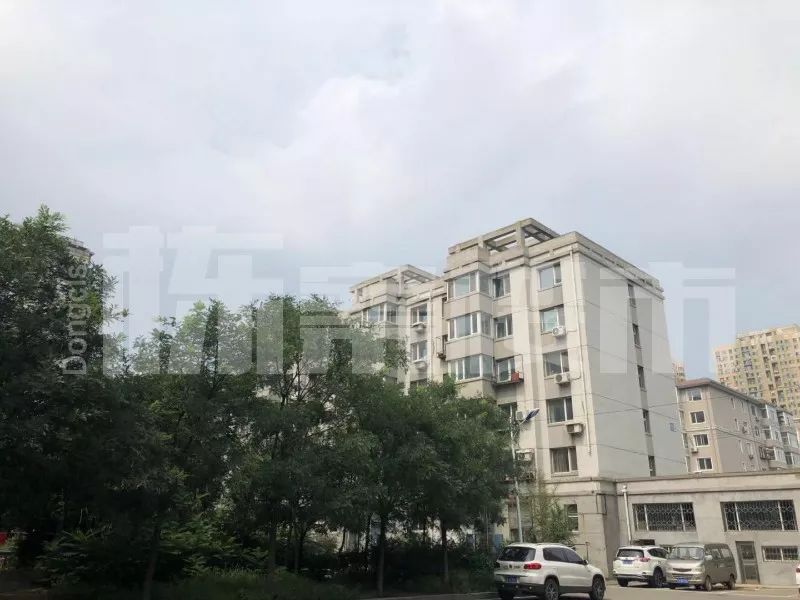 铁西杏坛总校二手房,沈阳铁西杏坛学区房