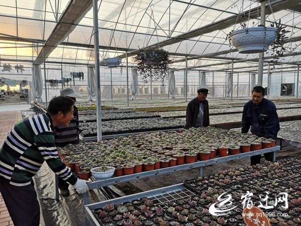 双十一即将来临快递行业,双十一电商物流发展现状