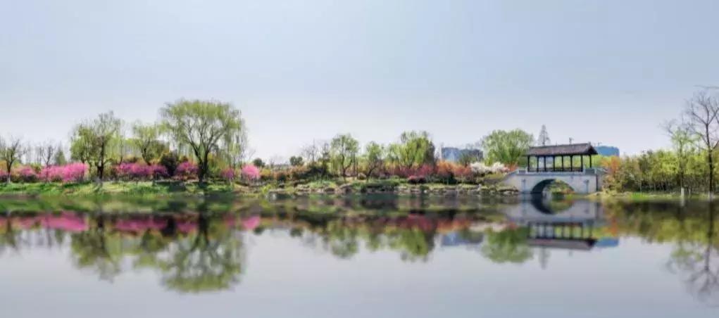 皋亭山美食,皋亭山里面美食