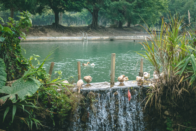 广东云浮好去处,广东云浮旅游攻略大全