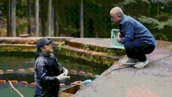 十大经典泰国广告,论广告我只服泰国广告